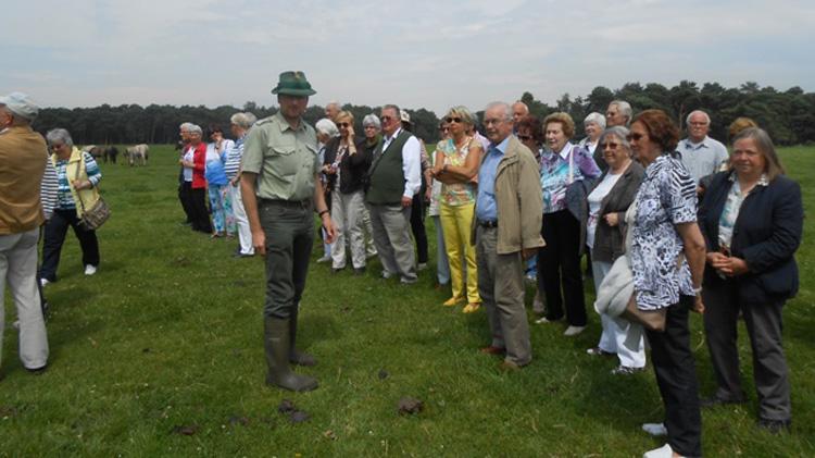 Seniorenunion besucht Wildpferde im Merfelder Bruch